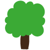 baum_img_1