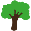 baum_img_2